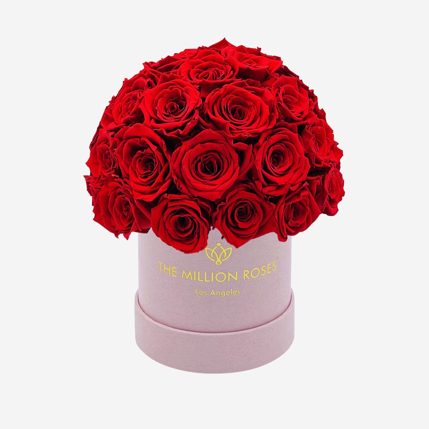 Basic Light Pink Suede Superdome Box | Red Roses
