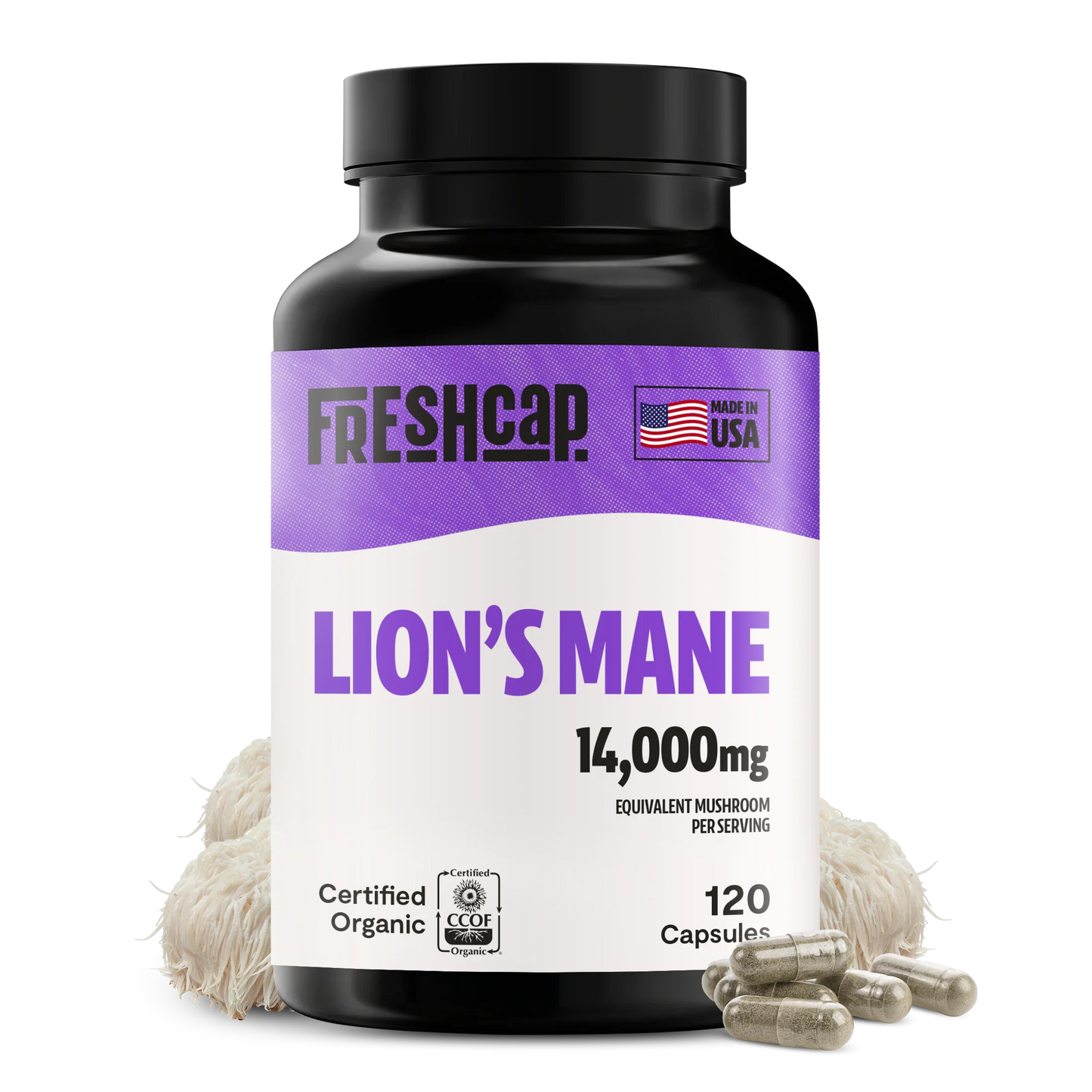Lion's Mane Mushroom Extract Capsules - Concordia Style Boutique