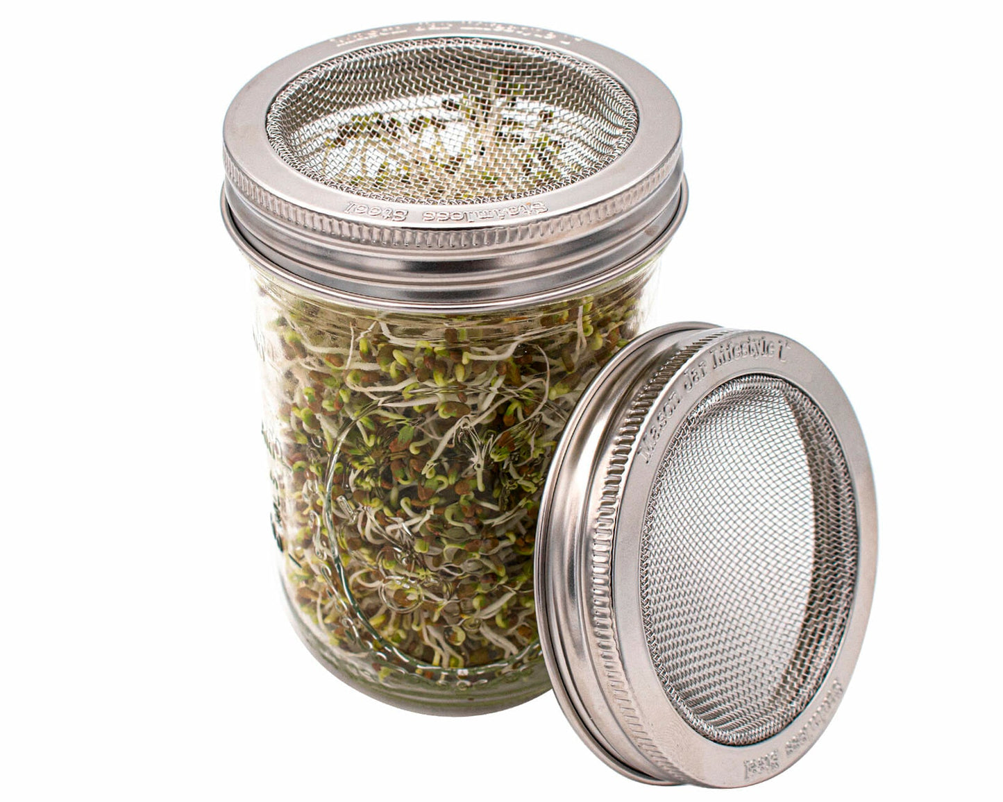 Curved Rust Proof Sprouting Lid and Band for Mason Jars - Concordia Style Boutique
