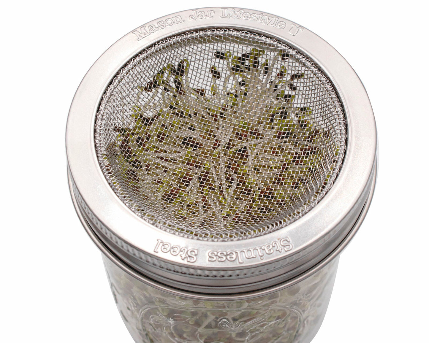 Curved Rust Proof Sprouting Lid and Band for Mason Jars - Concordia Style Boutique