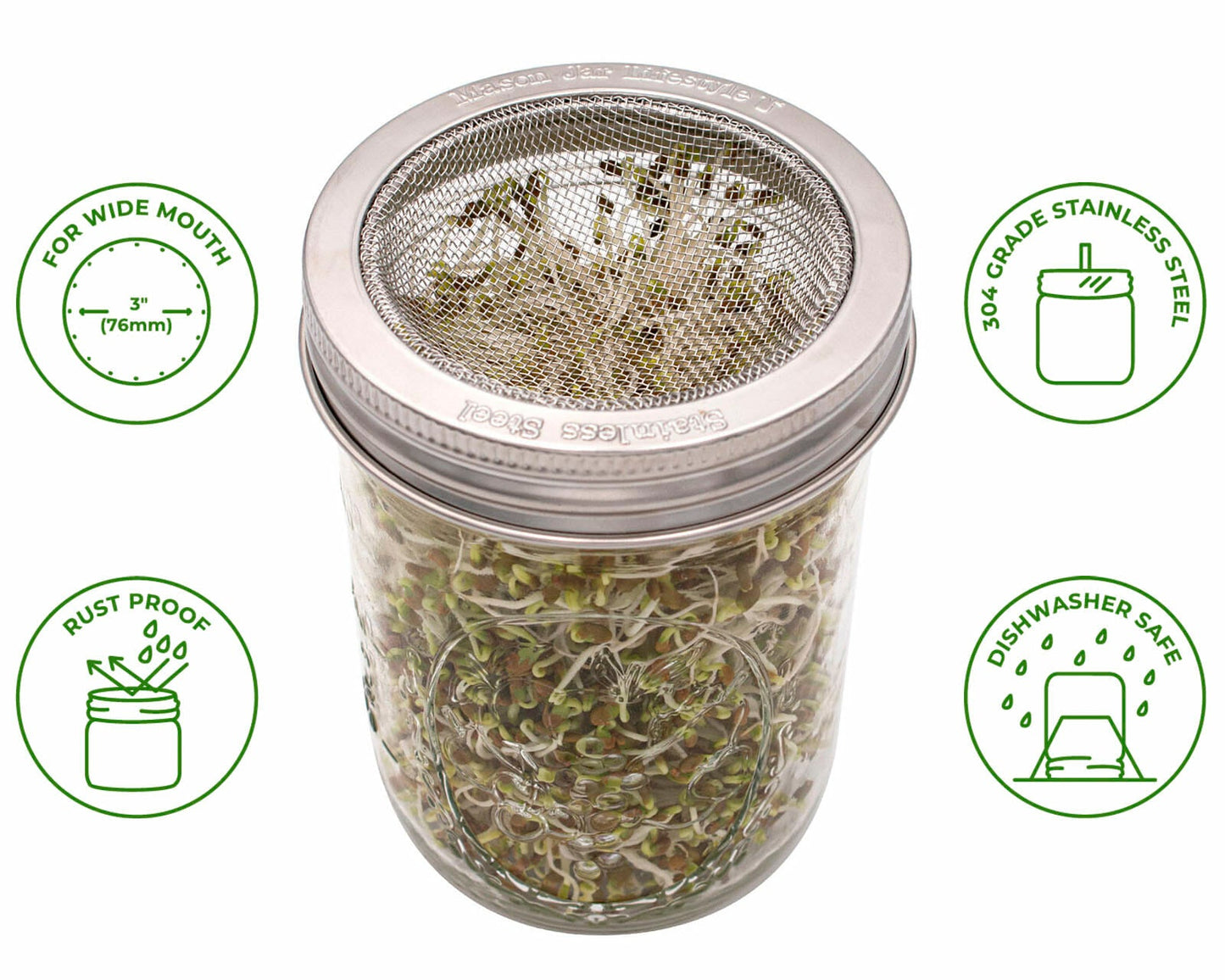 Curved Rust Proof Sprouting Lid and Band for Mason Jars - Concordia Style Boutique