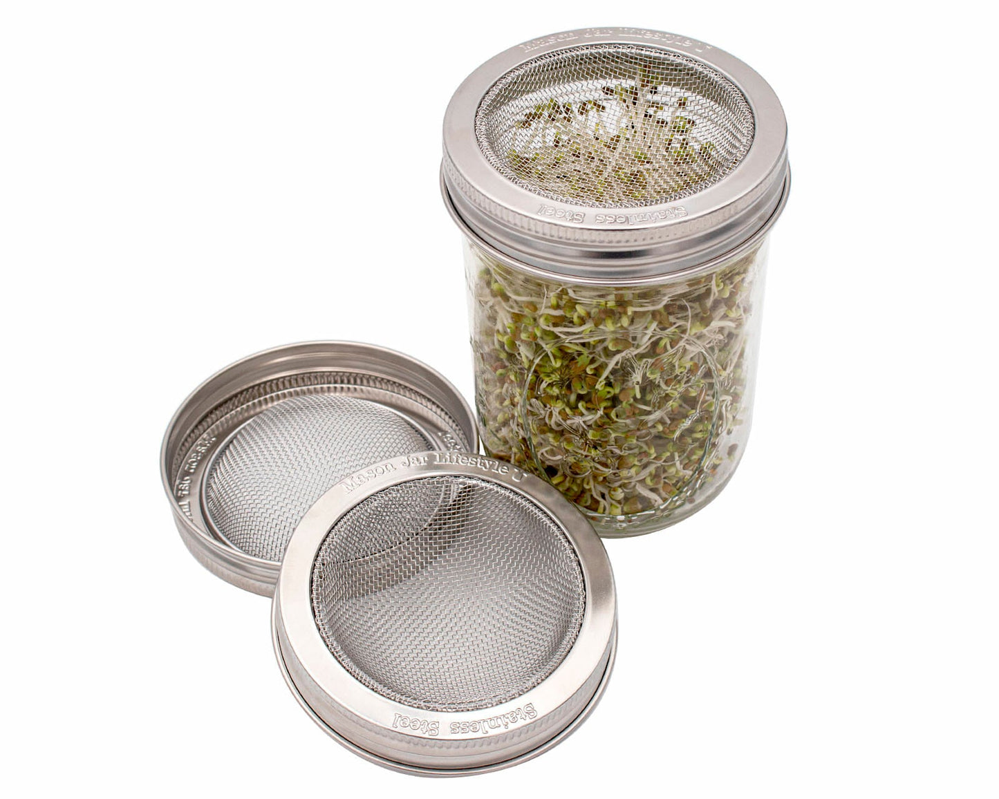 Curved Rust Proof Sprouting Lid and Band for Mason Jars - Concordia Style Boutique