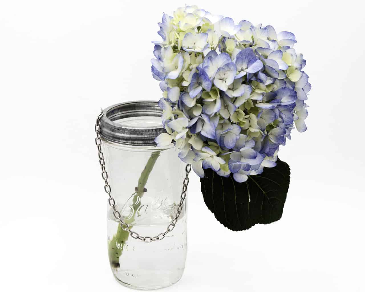 Galvanized Band with Chain Handle for Mason Jars 6 Pack - Concordia Style Boutique