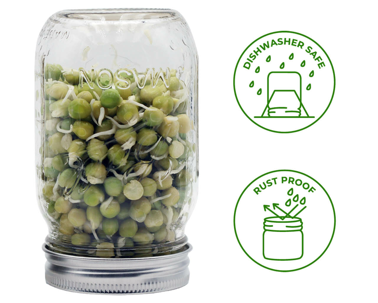 Curved Rust Proof Sprouting Lid and Band for Mason Jars - Concordia Style Boutique