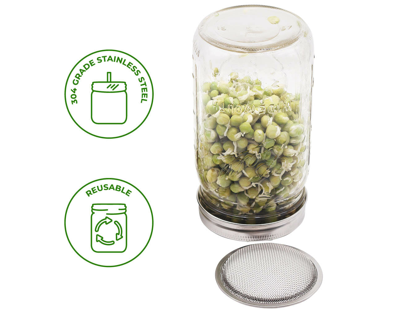 Curved Rust Proof Sprouting Lid and Band for Mason Jars - Concordia Style Boutique