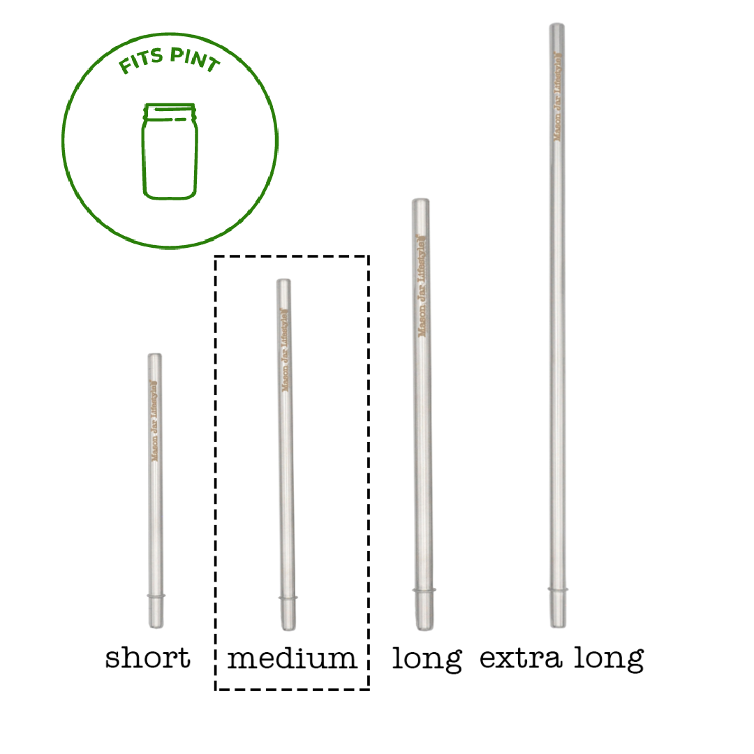 Individual Stainless Steel & Glass Straws for Mason Jars - Concordia Style Boutique