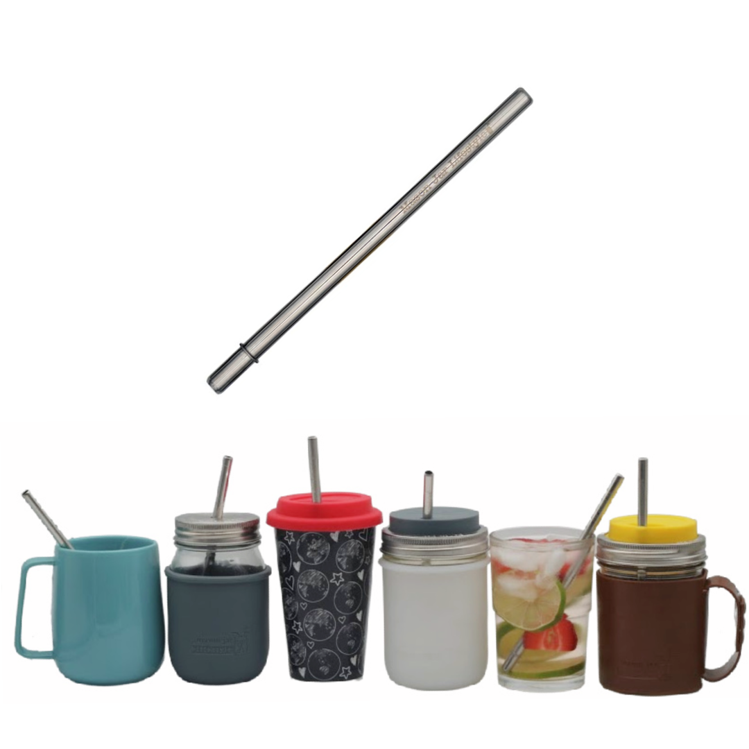 Individual Stainless Steel & Glass Straws for Mason Jars - Concordia Style Boutique