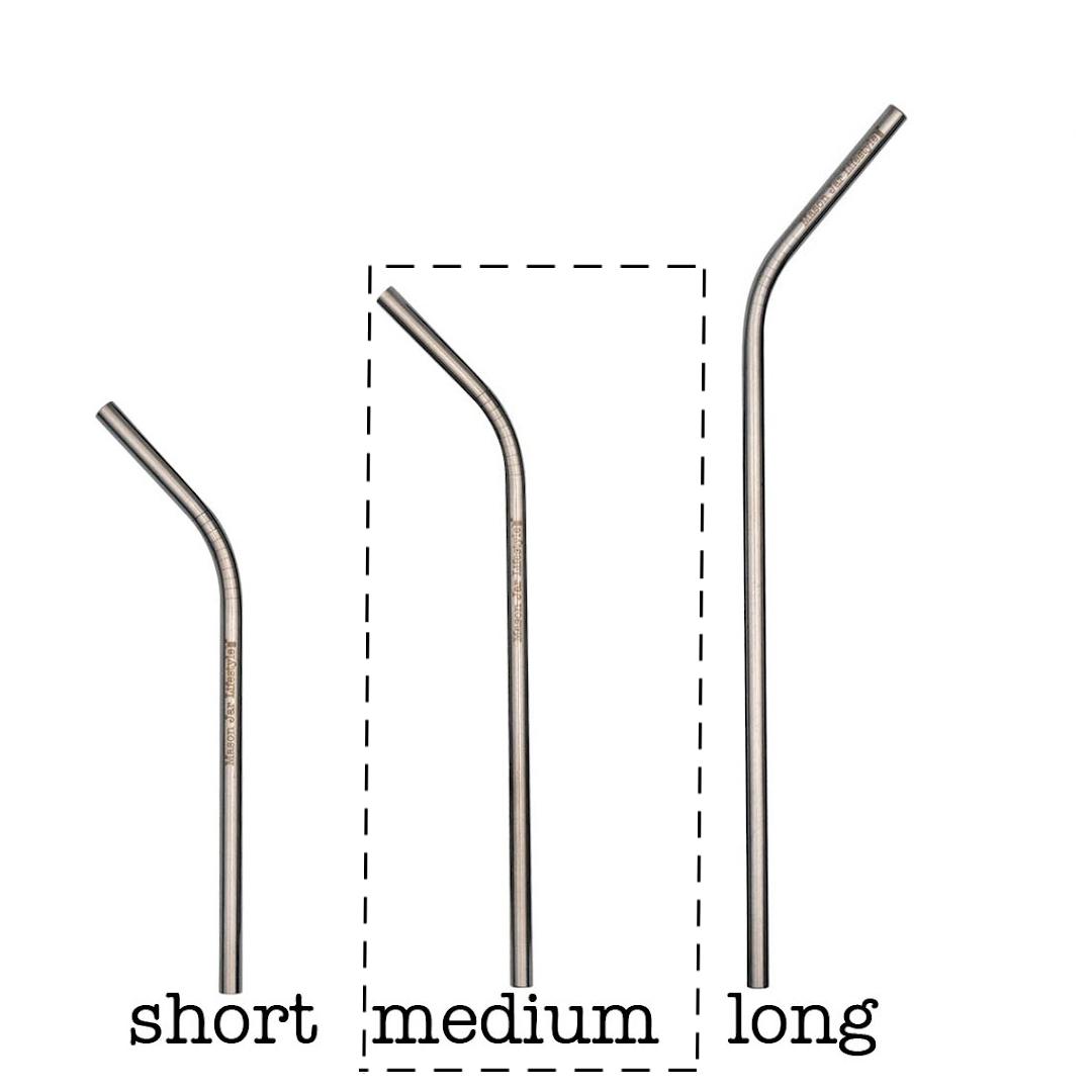Individual Stainless Steel & Glass Straws for Mason Jars - Concordia Style Boutique