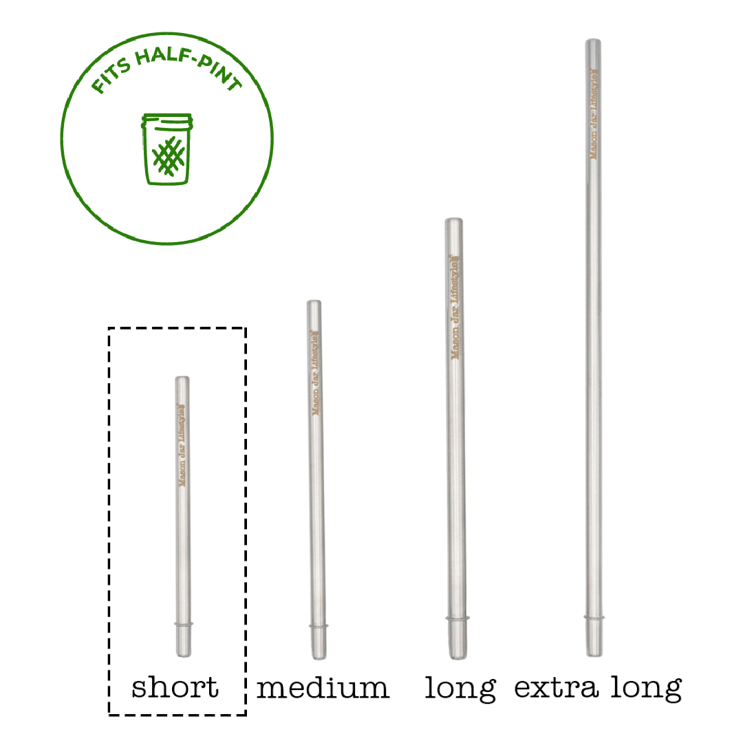 Individual Stainless Steel & Glass Straws for Mason Jars - Concordia Style Boutique