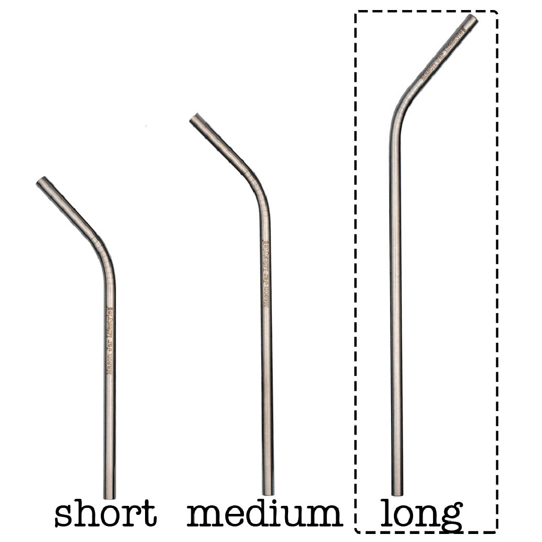 Individual Stainless Steel & Glass Straws for Mason Jars - Concordia Style Boutique