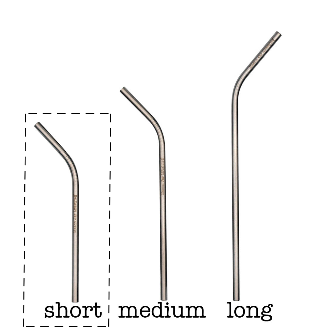Individual Stainless Steel & Glass Straws for Mason Jars - Concordia Style Boutique