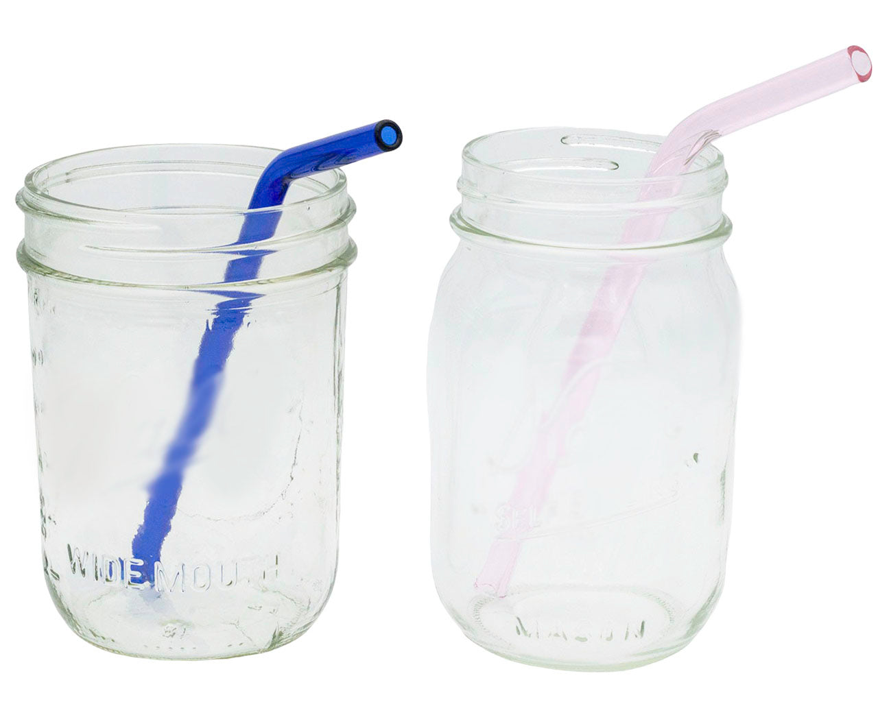 Individual Stainless Steel & Glass Straws for Mason Jars - Concordia Style Boutique