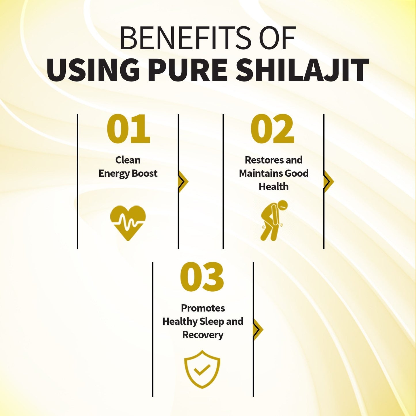 Golden Mountains Shilajit Resin 100g: Pure Altai Mountains Shilajit by Siberian Green - Concordia Style Boutique