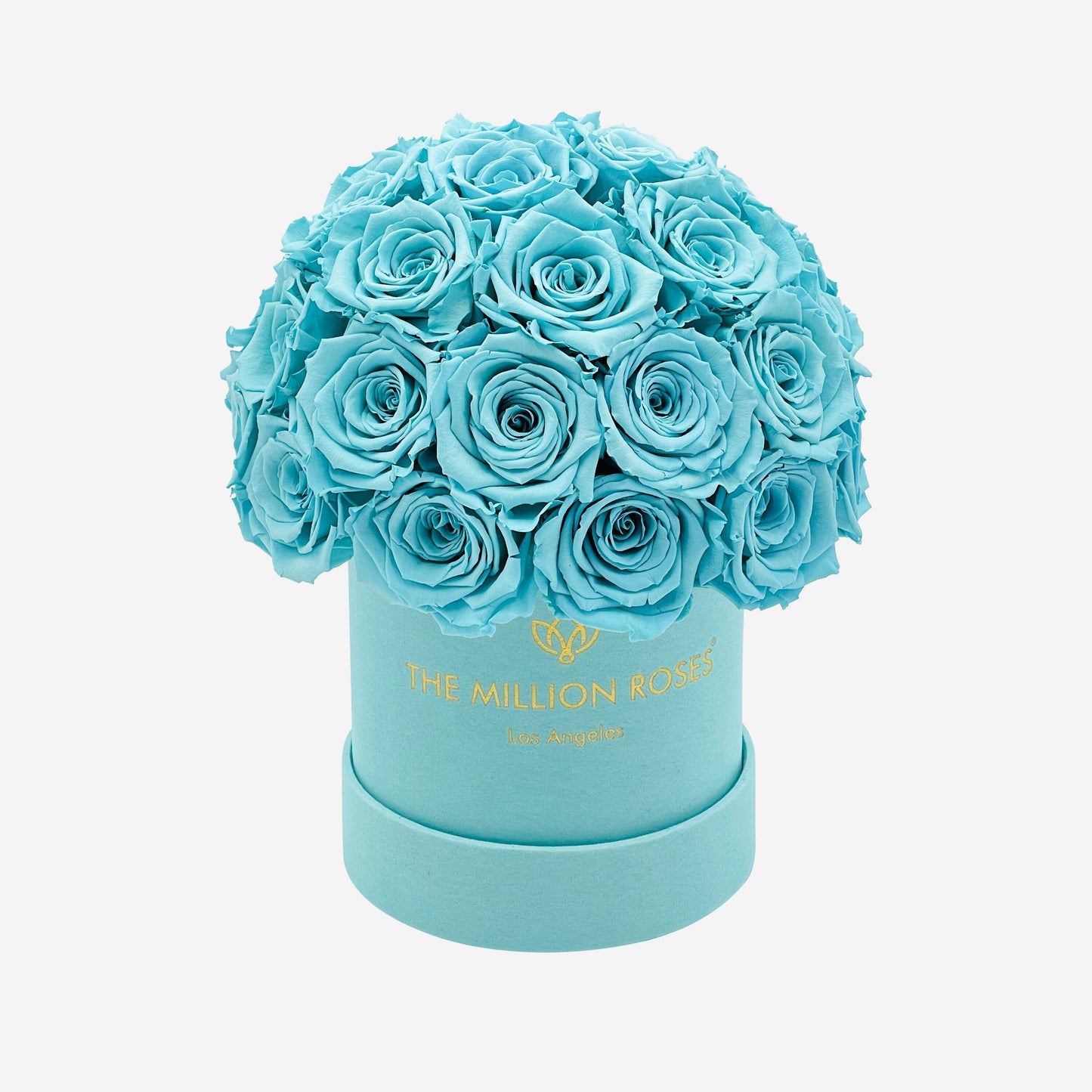 Basic Mint Green Suede Superdome Box | Turquoise Roses