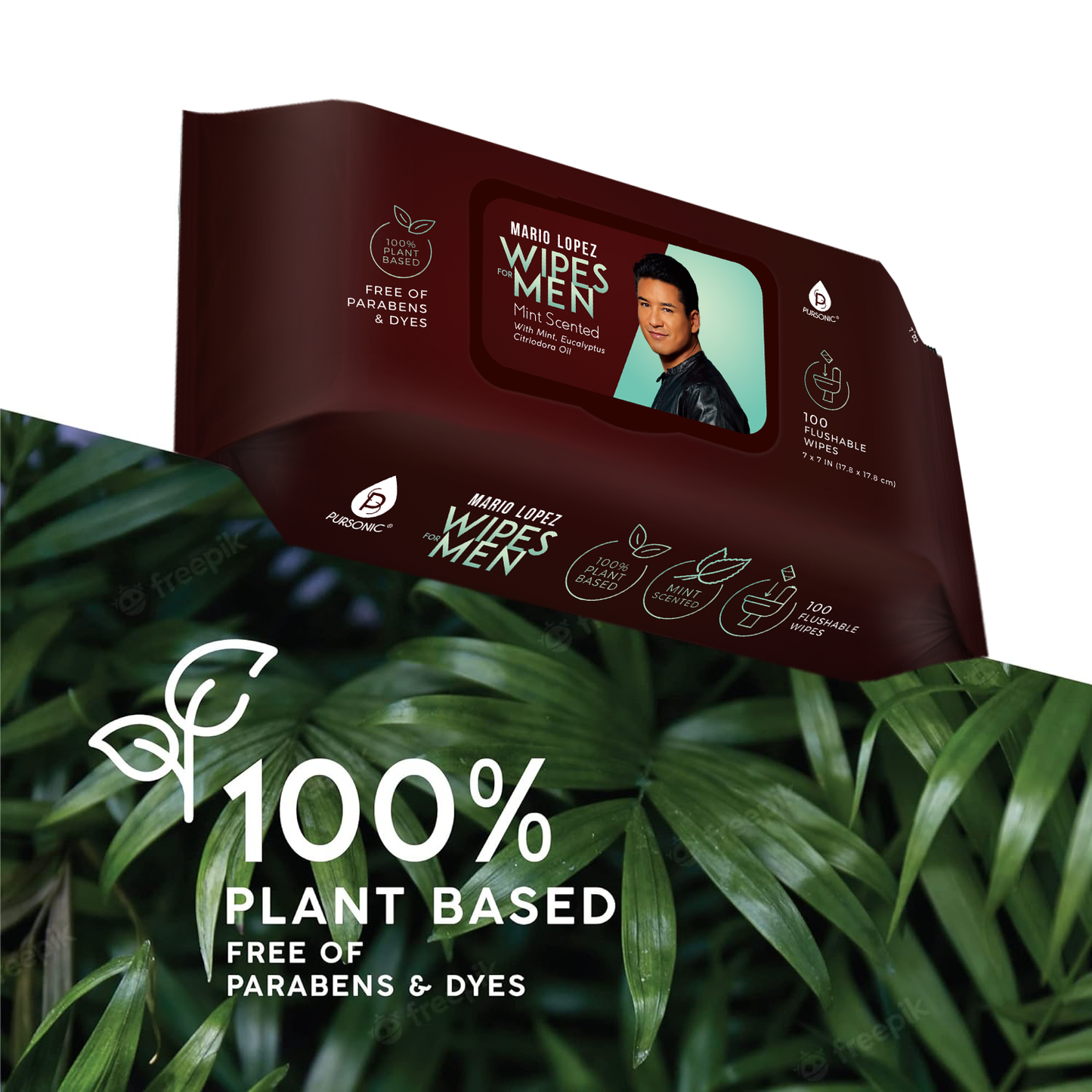 12 Pack of Flushable Mario Lopez Man Wipes (1200 Mint Scented Wipes) - Concordia Style Boutique