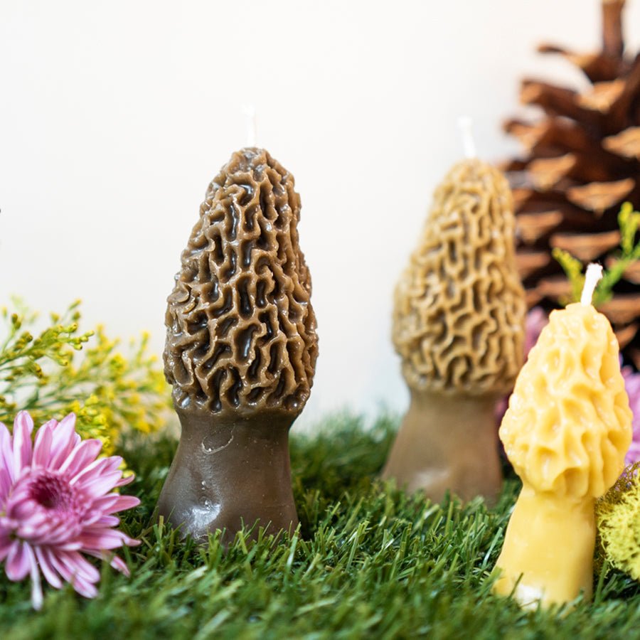 Morel Mushroom Beeswax Candle - Concordia Style Boutique