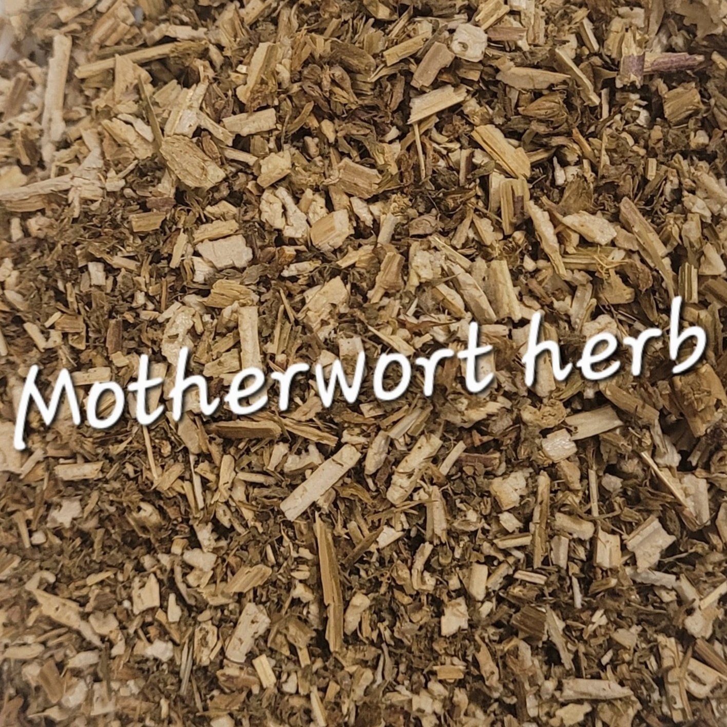 Motherwort (Leonurus cardiaca) | Heart Tonic & Women's Nervine