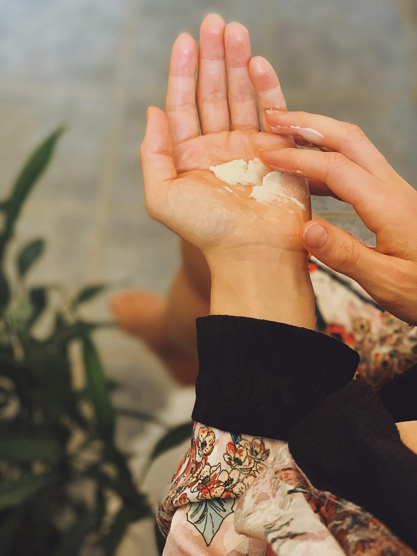 Shea Butter (Wildcrafted) - Concordia Style Boutique