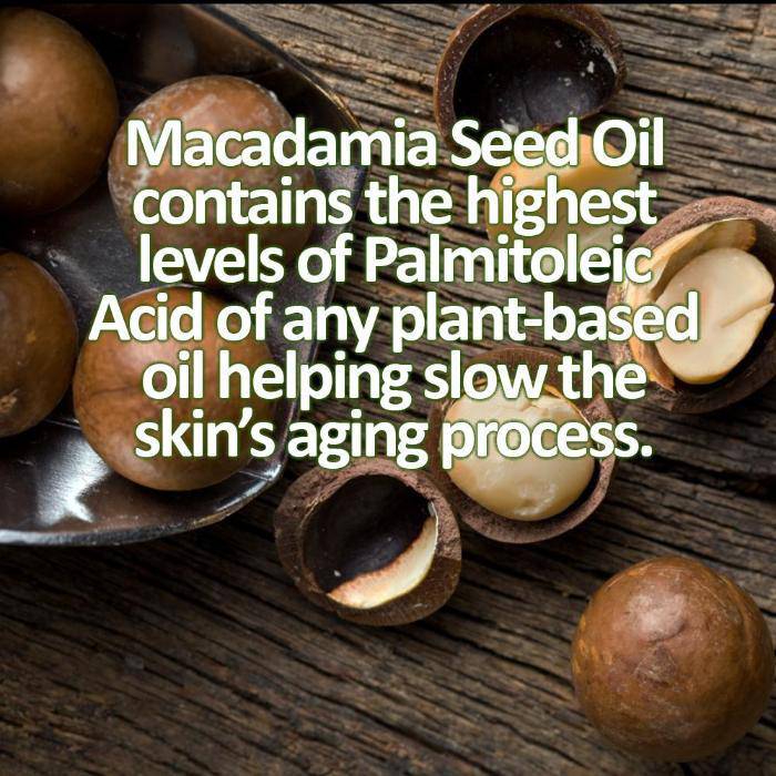 Organic Pumpkin Alpha Hydroxy Acid Face Mask - Concordia Style Boutique
