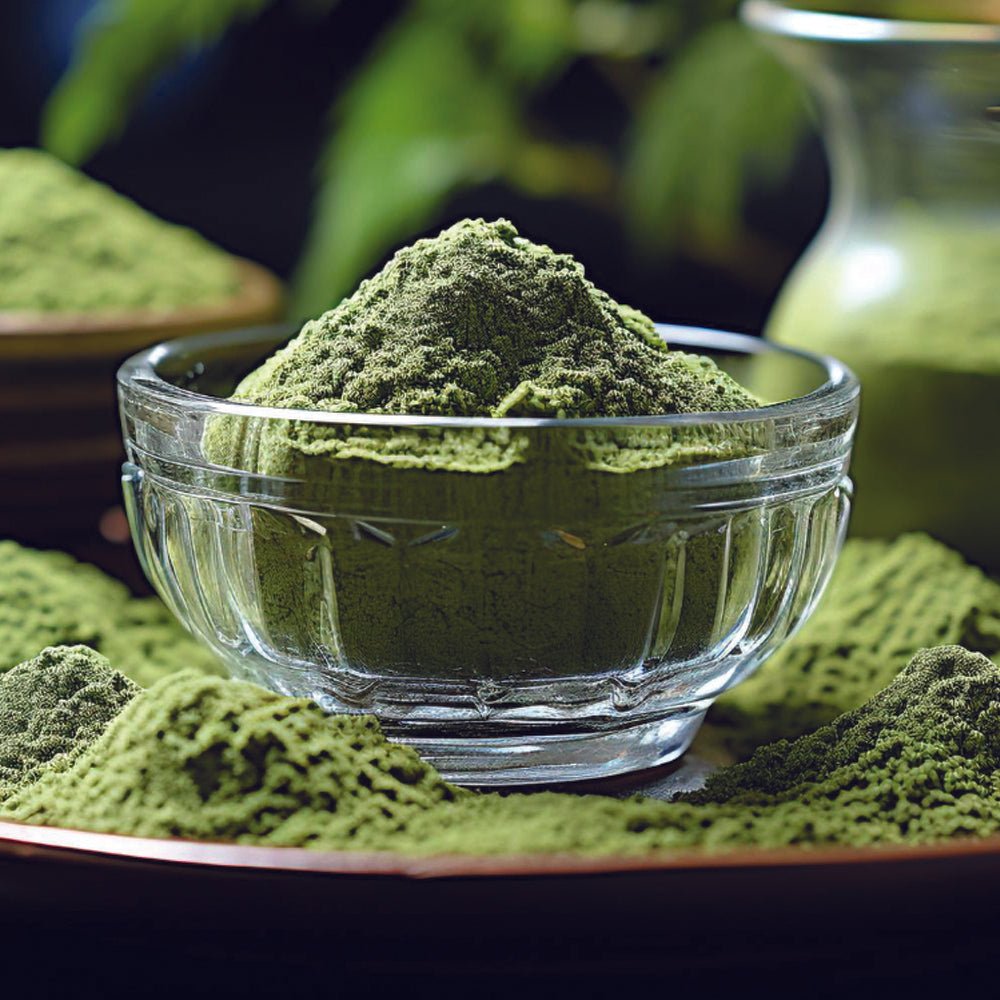 Organic Rosemary Mint Algae Face Mask - Concordia Style Boutique