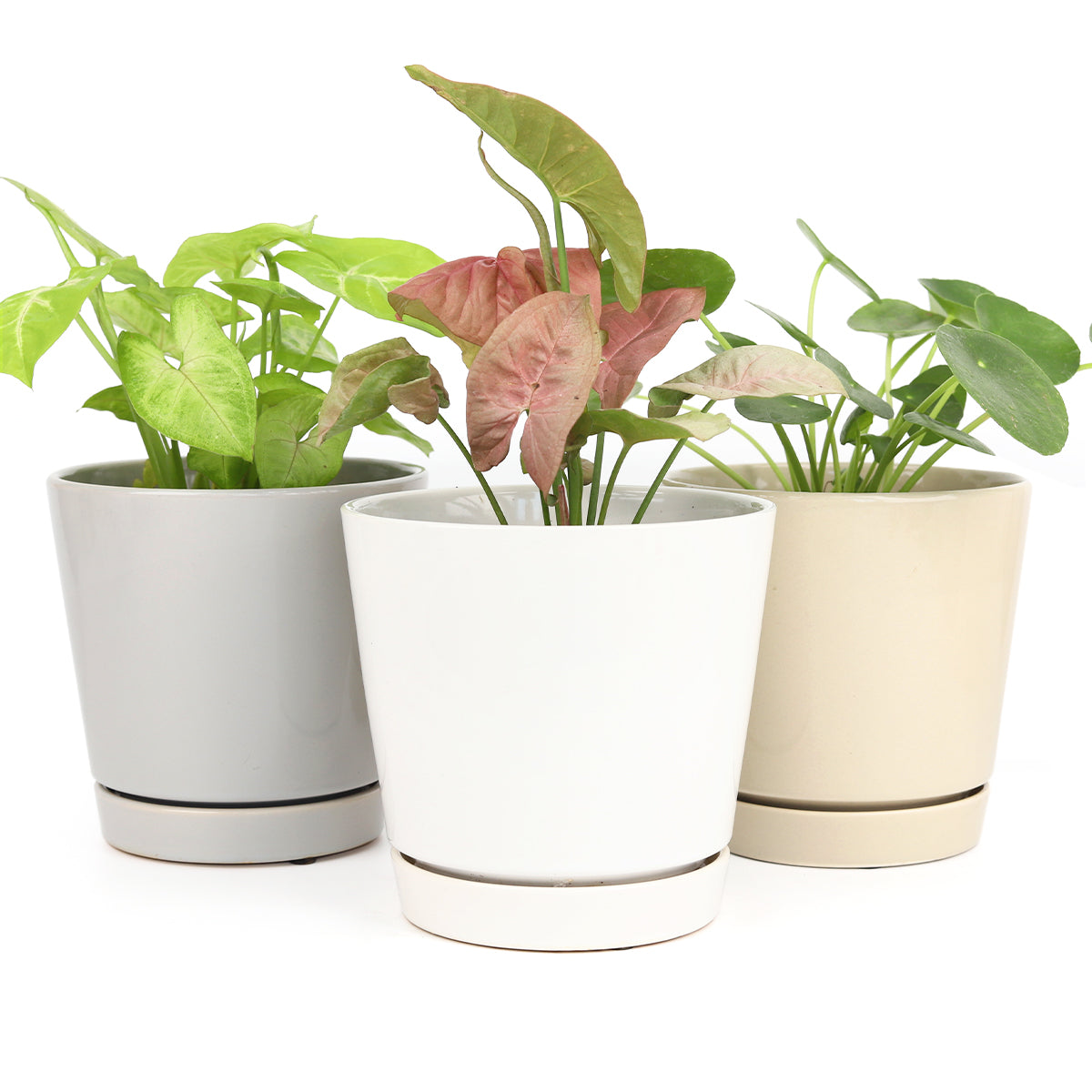 Pack of 3 x 6" Minimalist Pots with Saucer (White, Gray and Oatmeal)