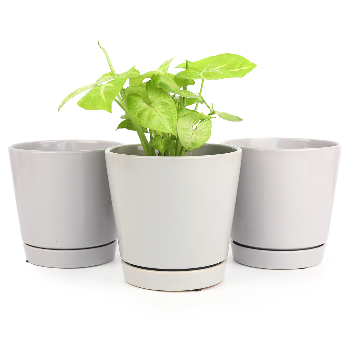 Pack of 3 x 6" Gray Minimalist Pots with Saucer