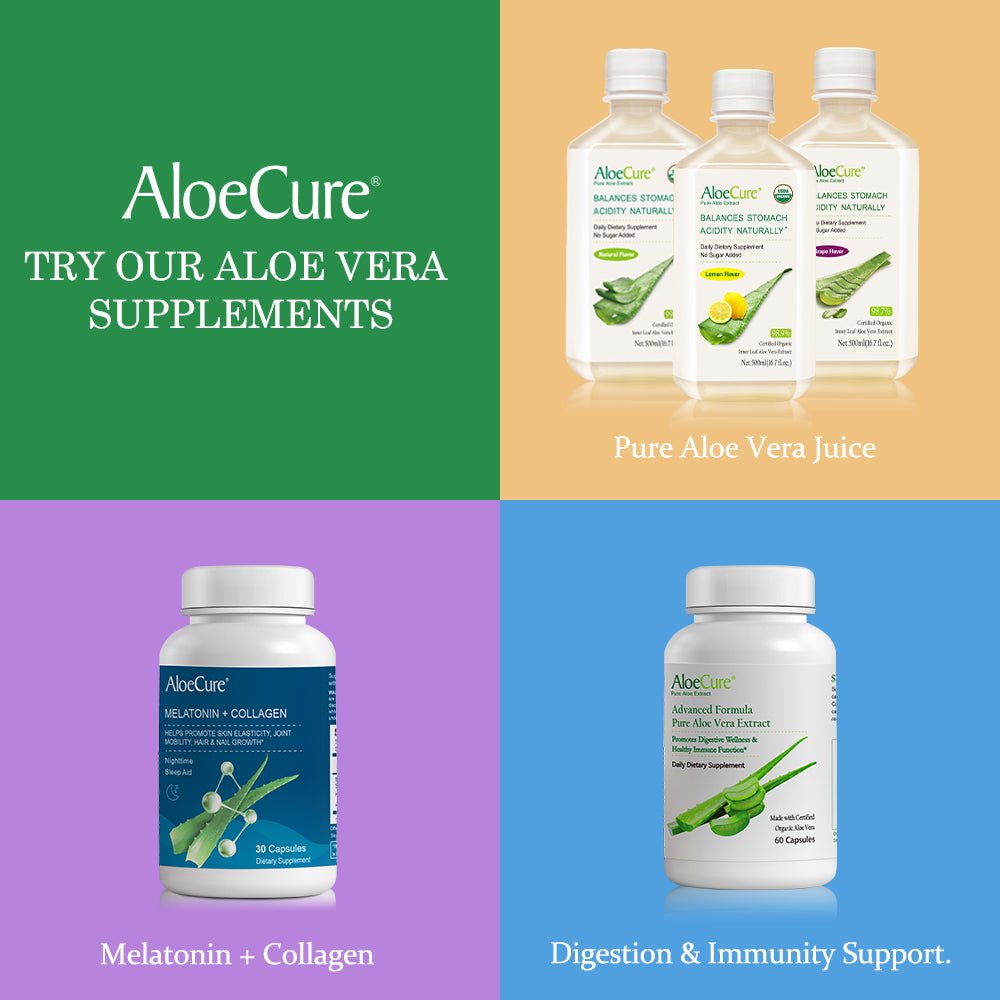 Pre+Probiotic & Digestive Enzyme Blend - Concordia Style Boutique