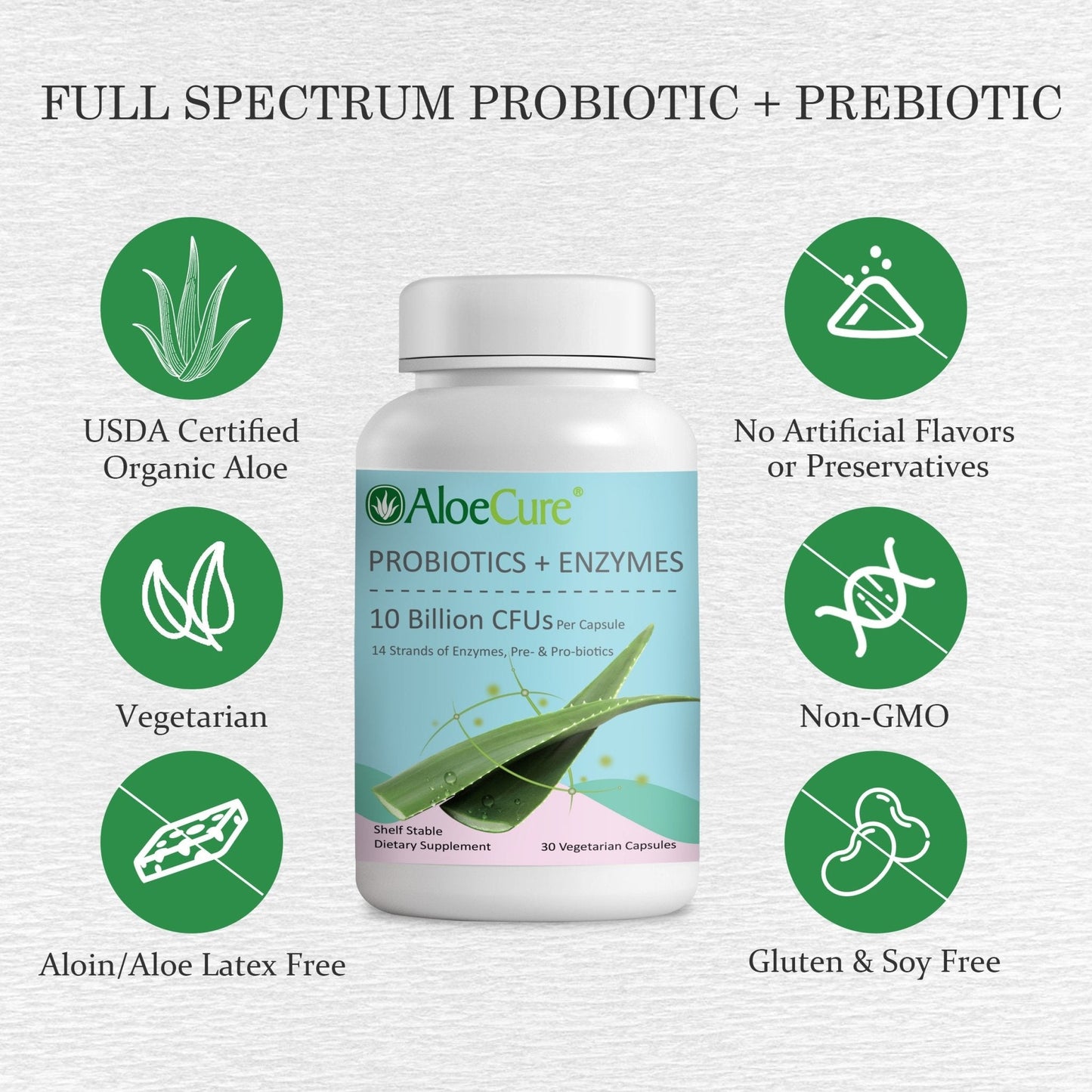 Pre+Probiotic & Digestive Enzyme Blend - Concordia Style Boutique