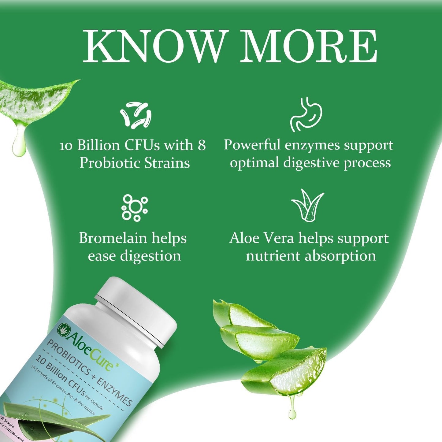 Pre+Probiotic & Digestive Enzyme Blend - Concordia Style Boutique