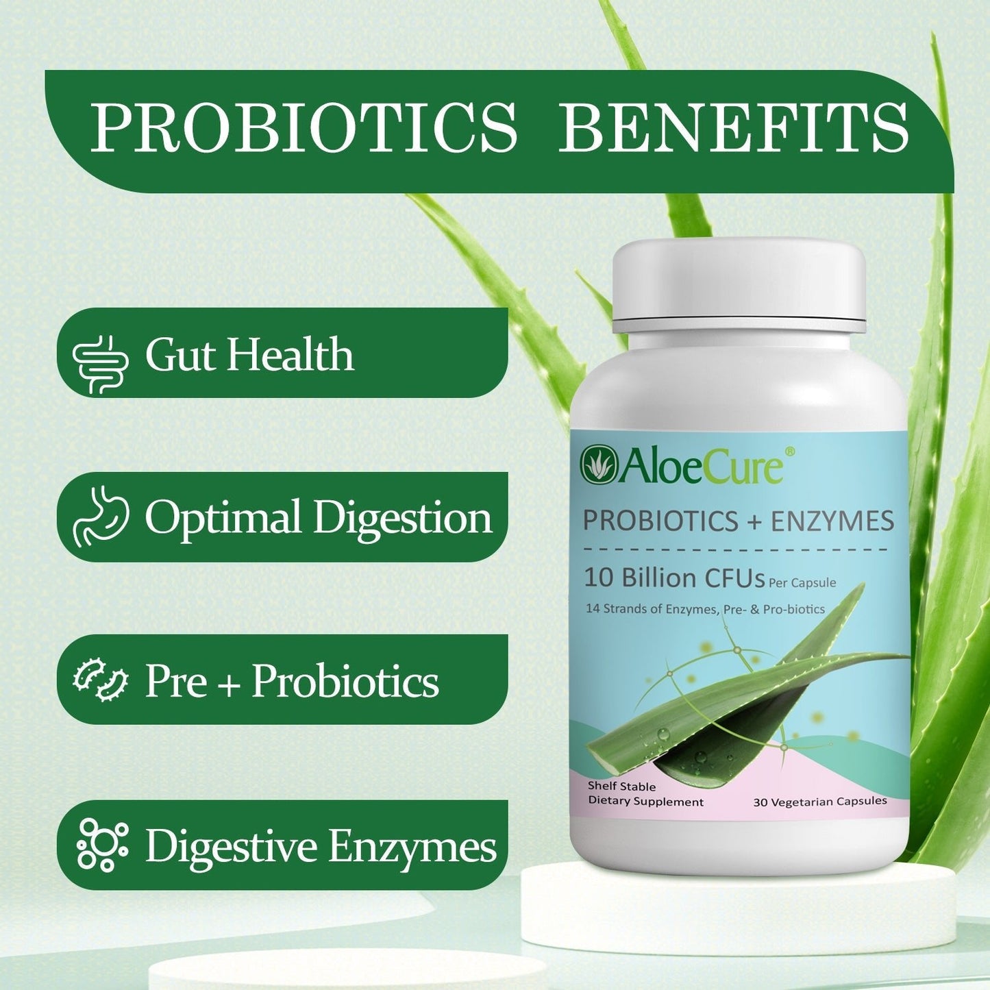 Pre+Probiotic & Digestive Enzyme Blend - Concordia Style Boutique