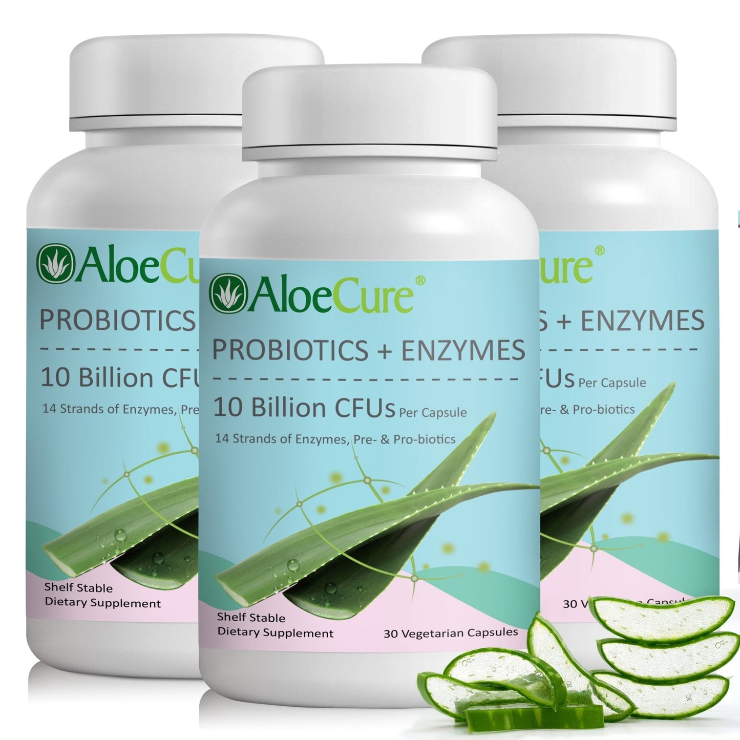 Pre+Probiotic & Digestive Enzyme Blend - Concordia Style Boutique