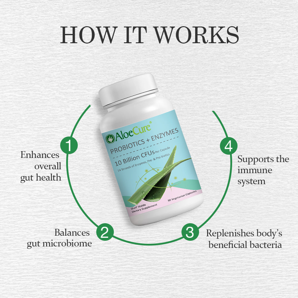 Pre+Probiotic & Digestive Enzyme Blend - Concordia Style Boutique