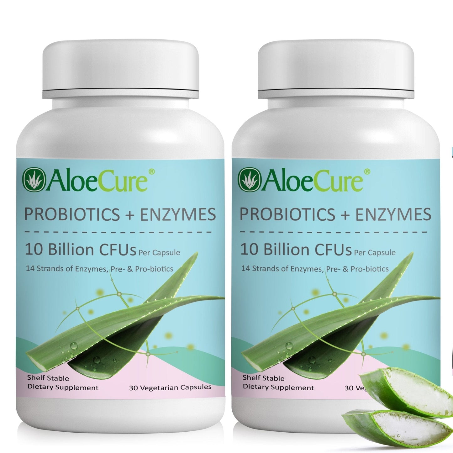 Pre+Probiotic & Digestive Enzyme Blend - Concordia Style Boutique