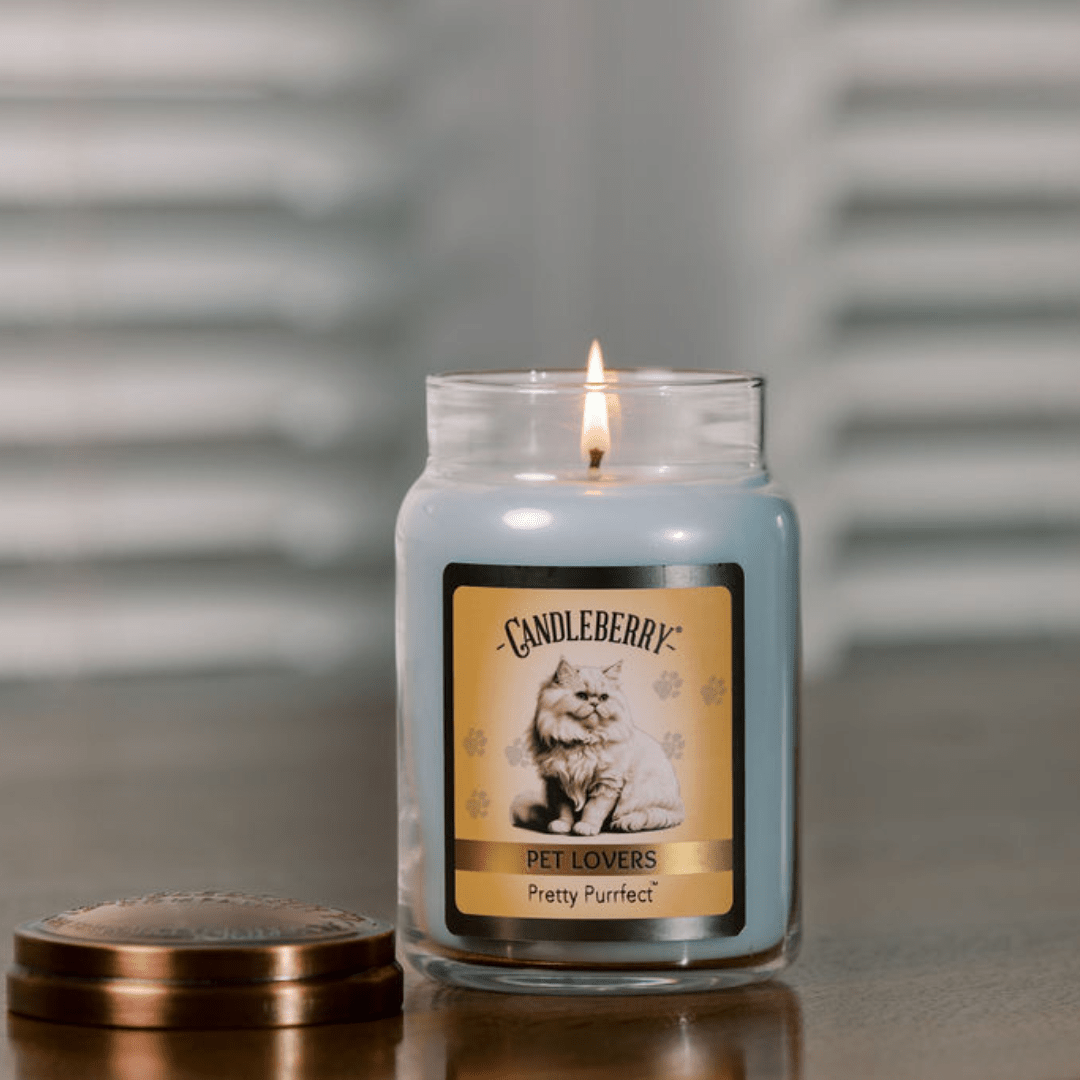 Pretty Purfect - Large Jar Candle (Collective) - Concordia Style Boutique