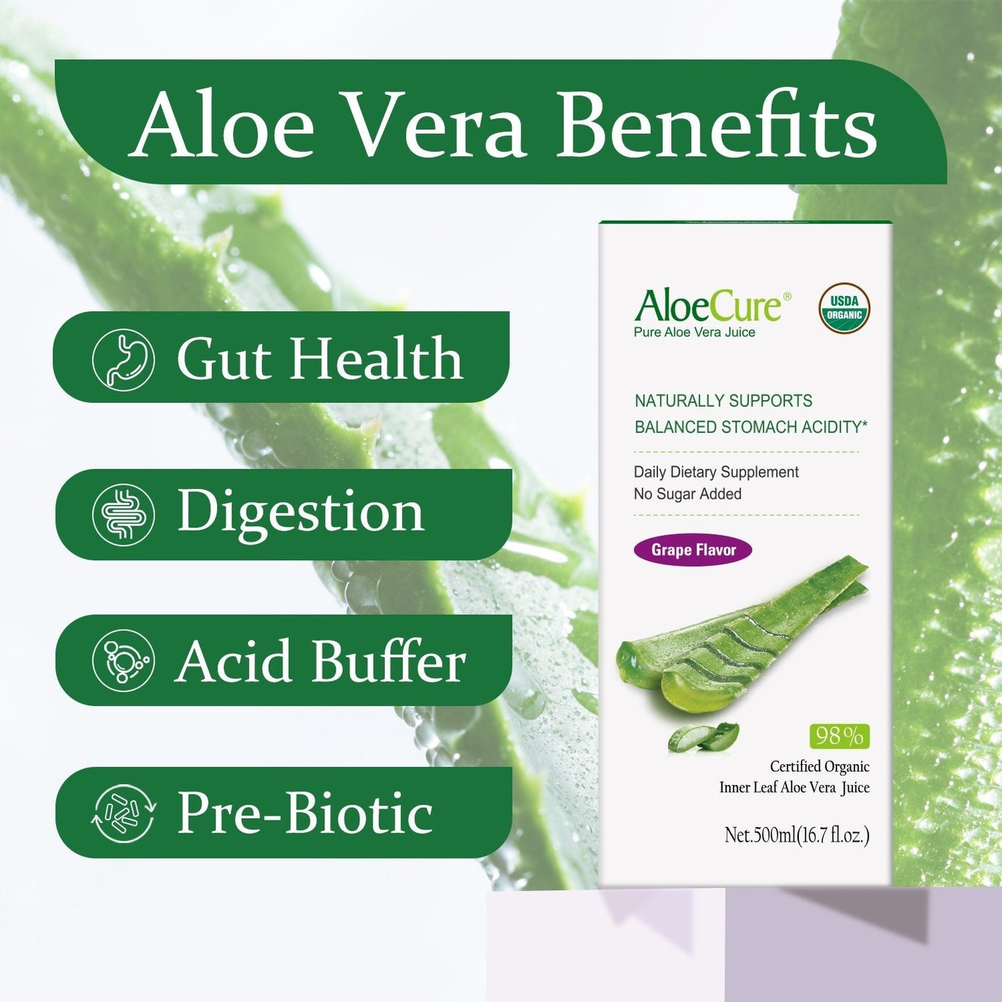 Pure Aloe Vera Juice Grape Flavor - USDA Certified Organic - Concordia Style Boutique