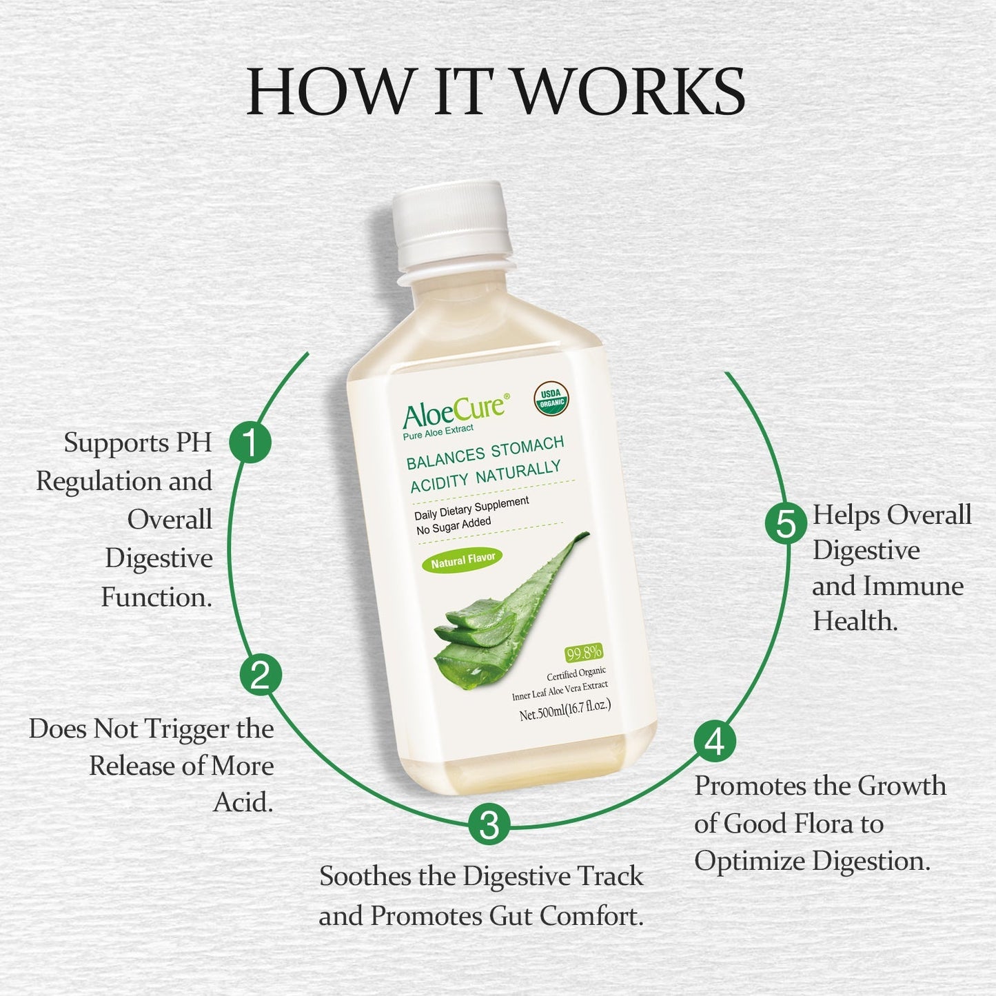 Pure Aloe Vera Juice Natural Flavor - USDA Certified Organic - Concordia Style Boutique