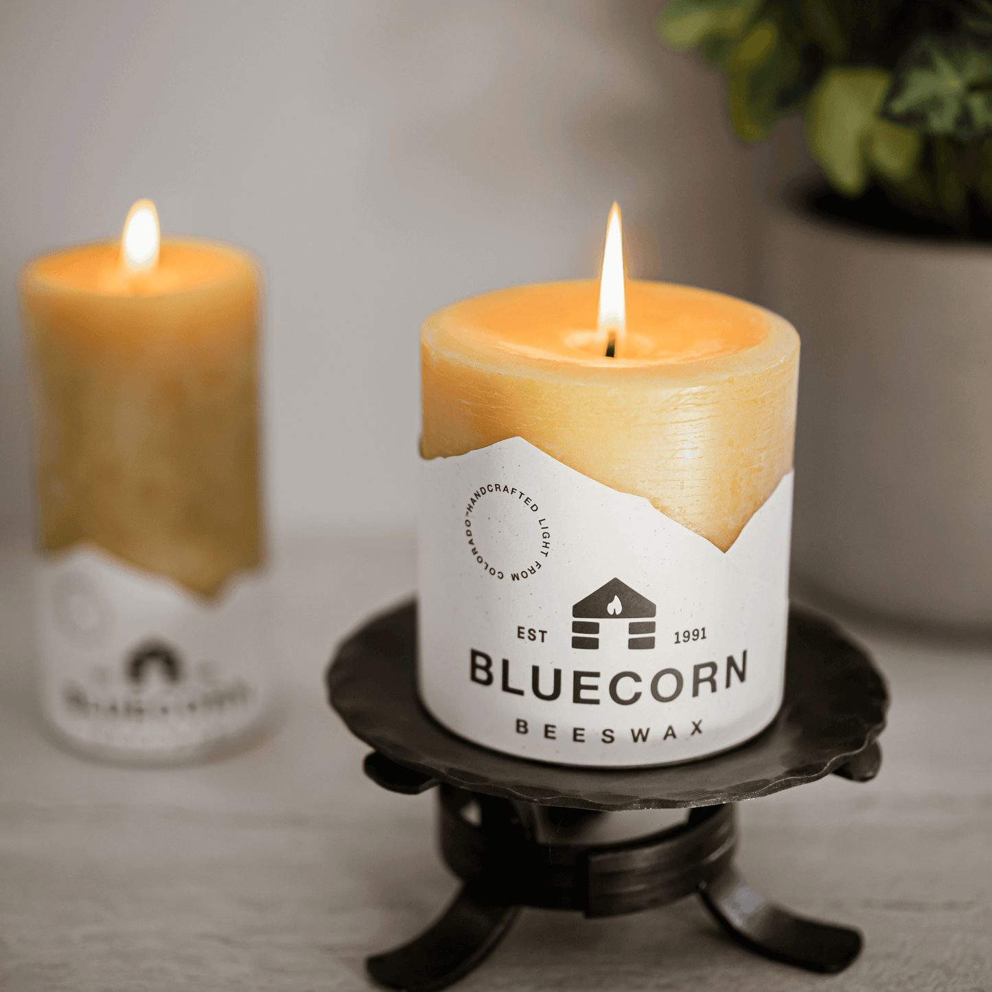 Pure Beeswax Pillar Candles - Concordia Style Boutique