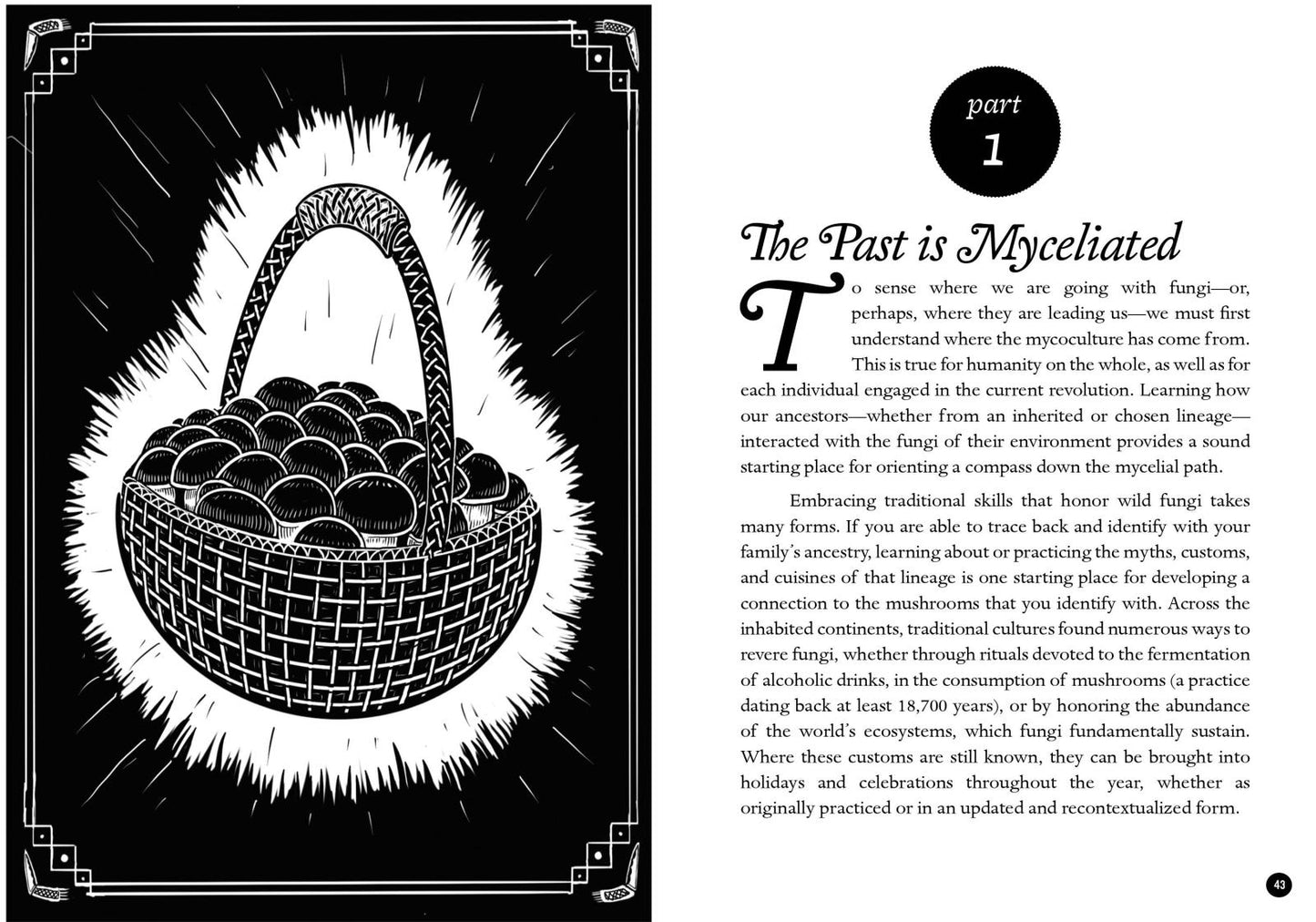 The Mycocultural Revolution: Embark on a Transformative Journey with Fungi - Concordia Style Boutique