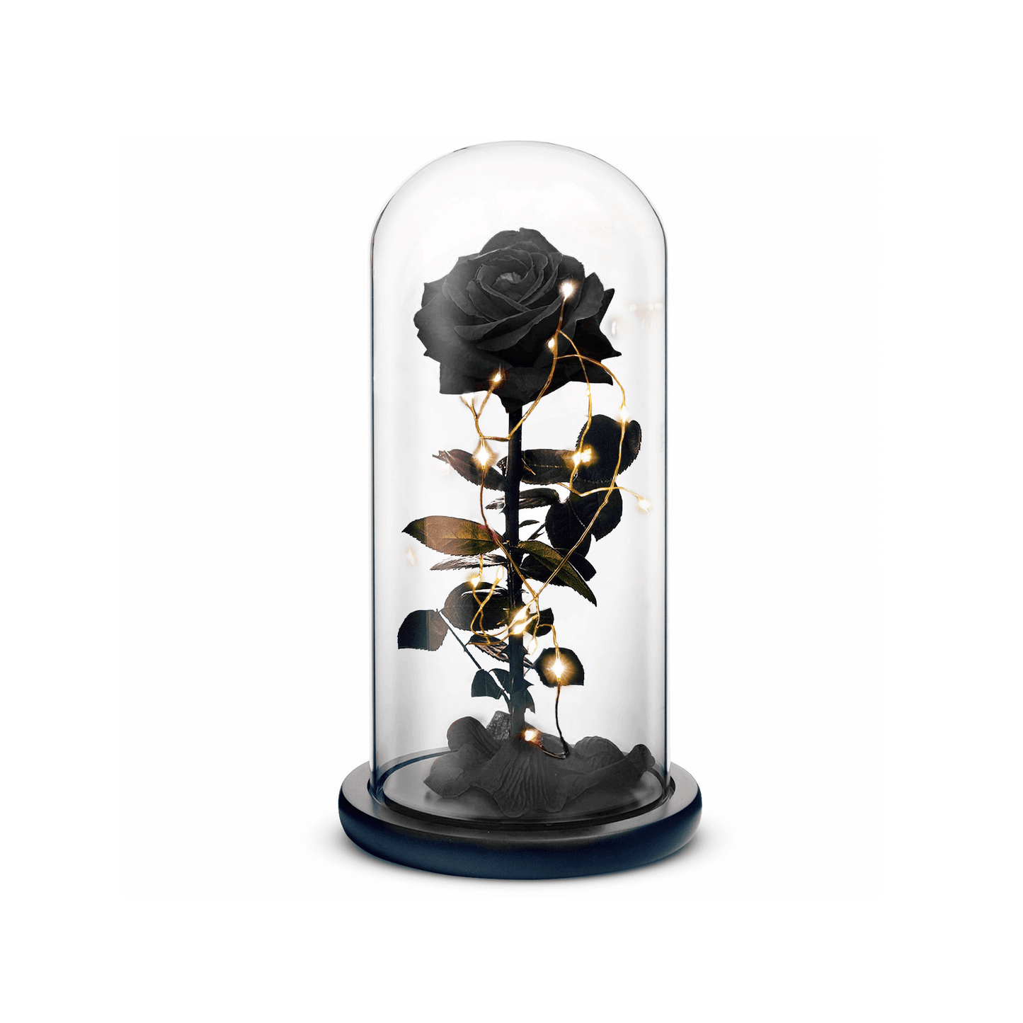 Beauty and The Beast Rose (Black) - Concordia Style Boutique