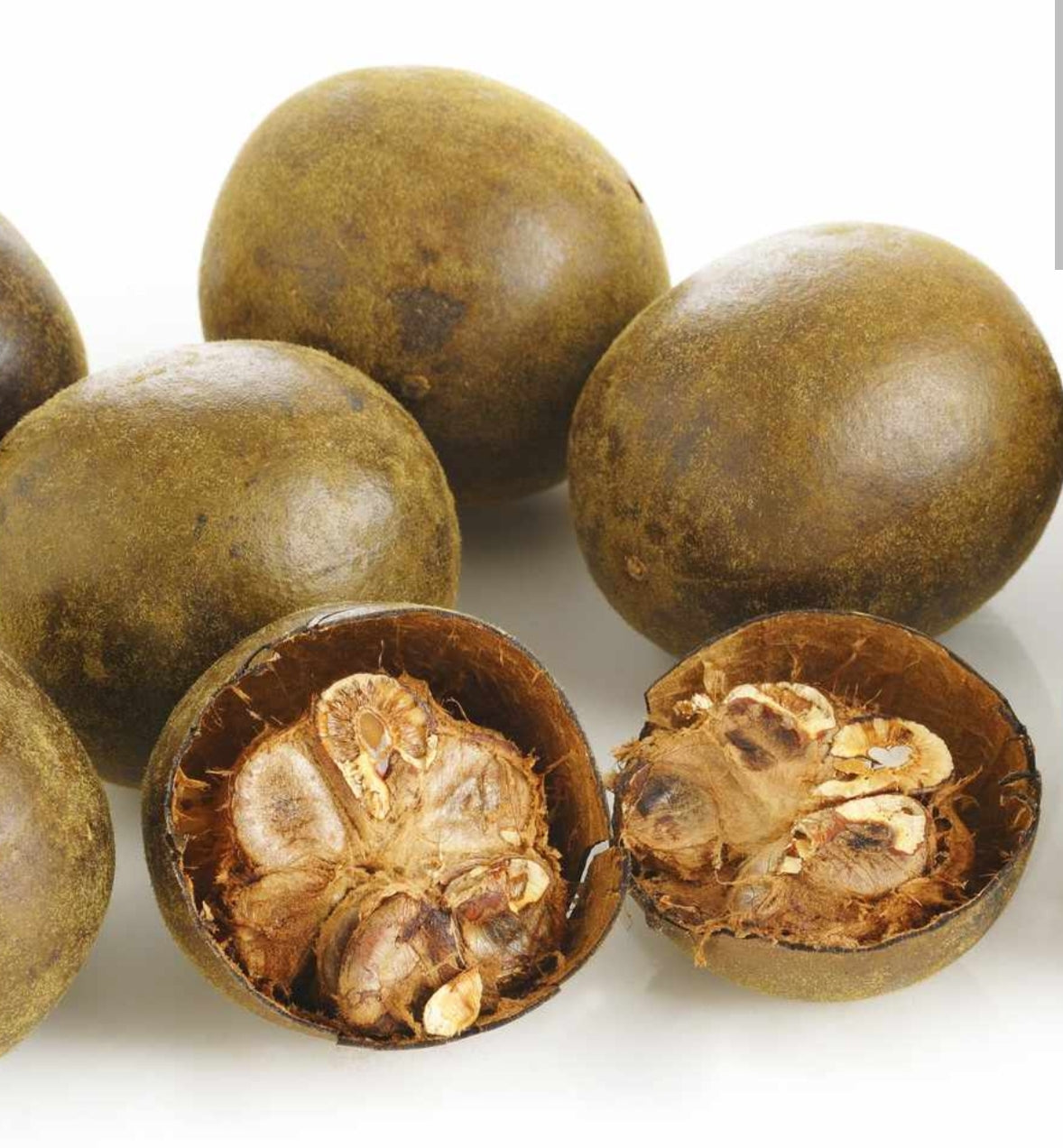 Monk Fruit | Natural Sweetener & Antioxidant Support