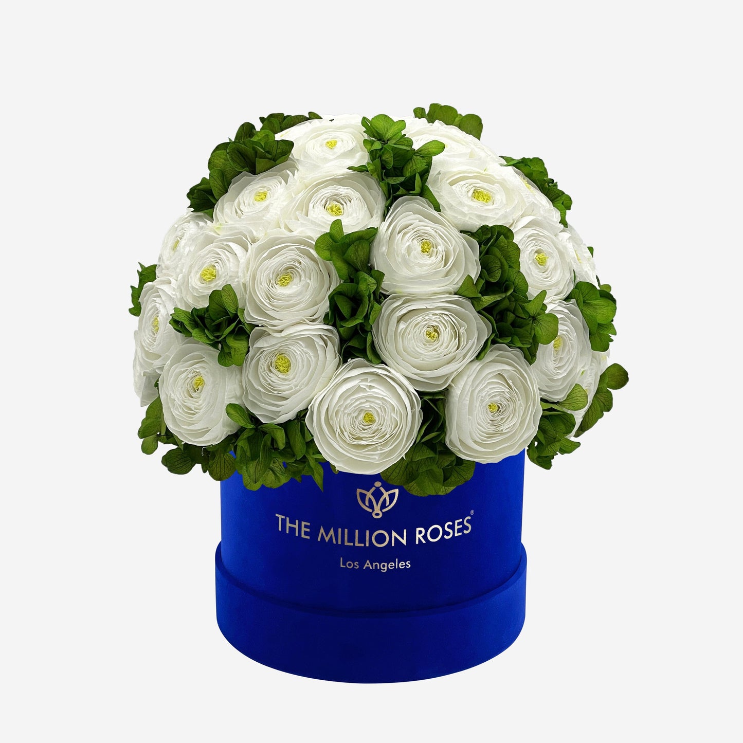 Classic Royal Blue Suede Box | White Persian Buttercups & Green Hydrangeas