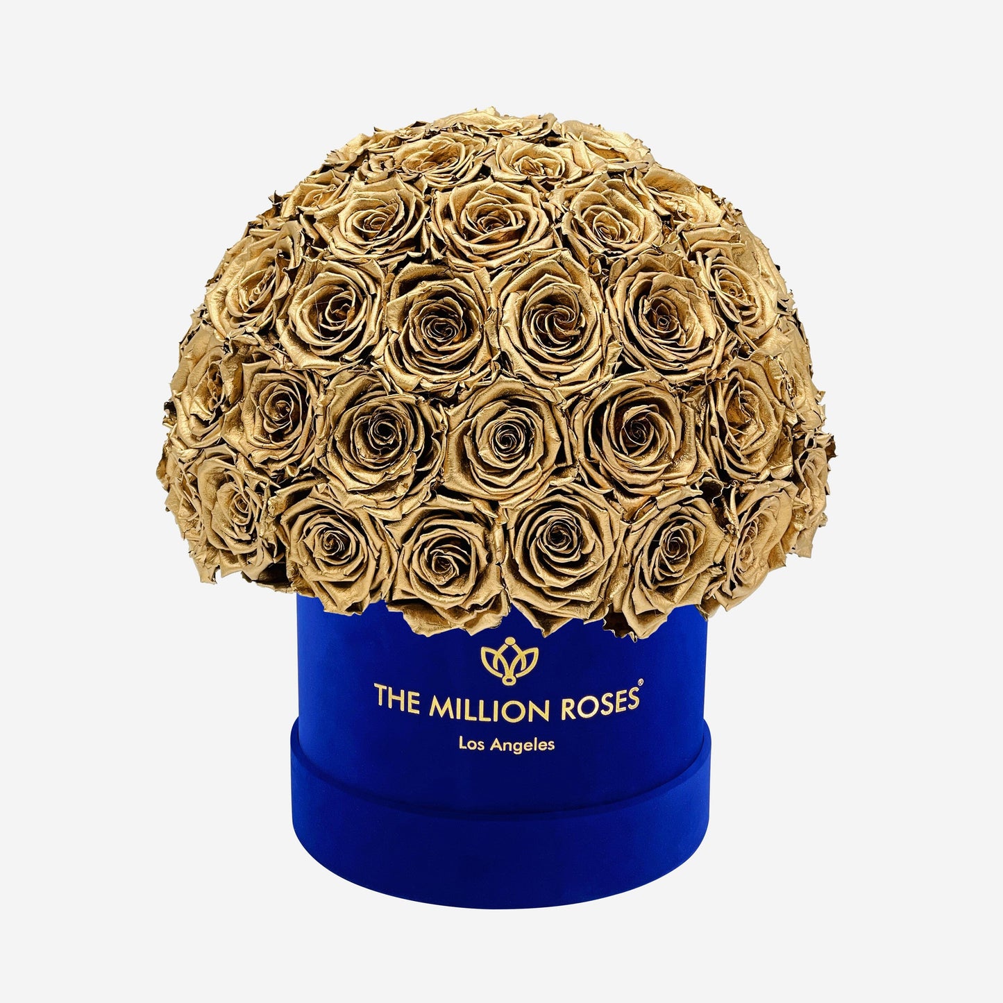 Classic Royal Blue Suede Superdome Box | Gold Roses