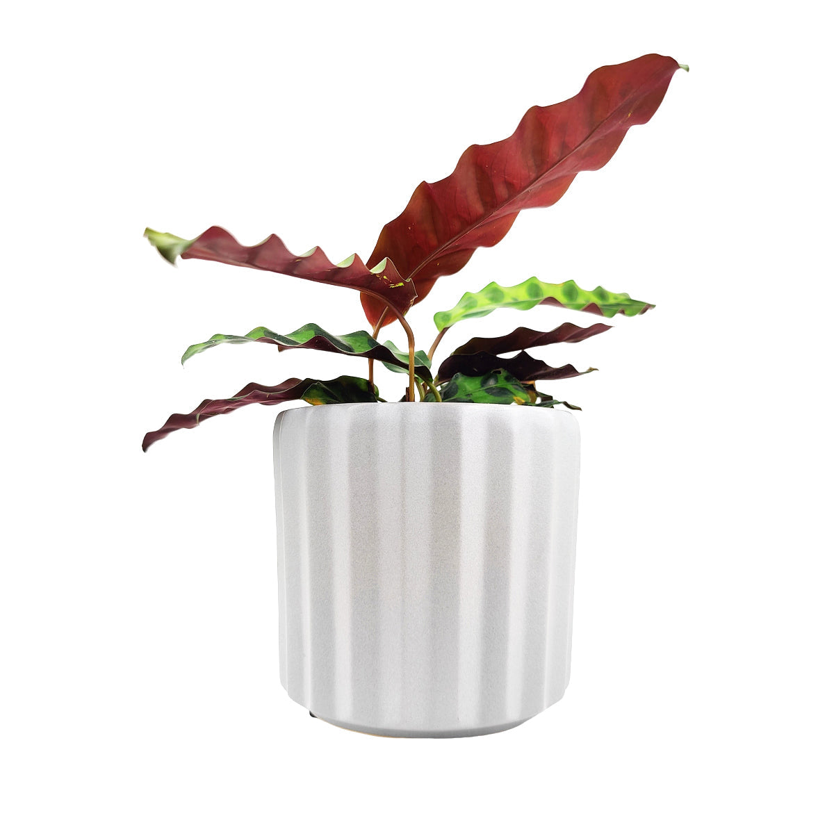 5 inch Grey Glazed Ceramic Cylinder Faux Cement Planter