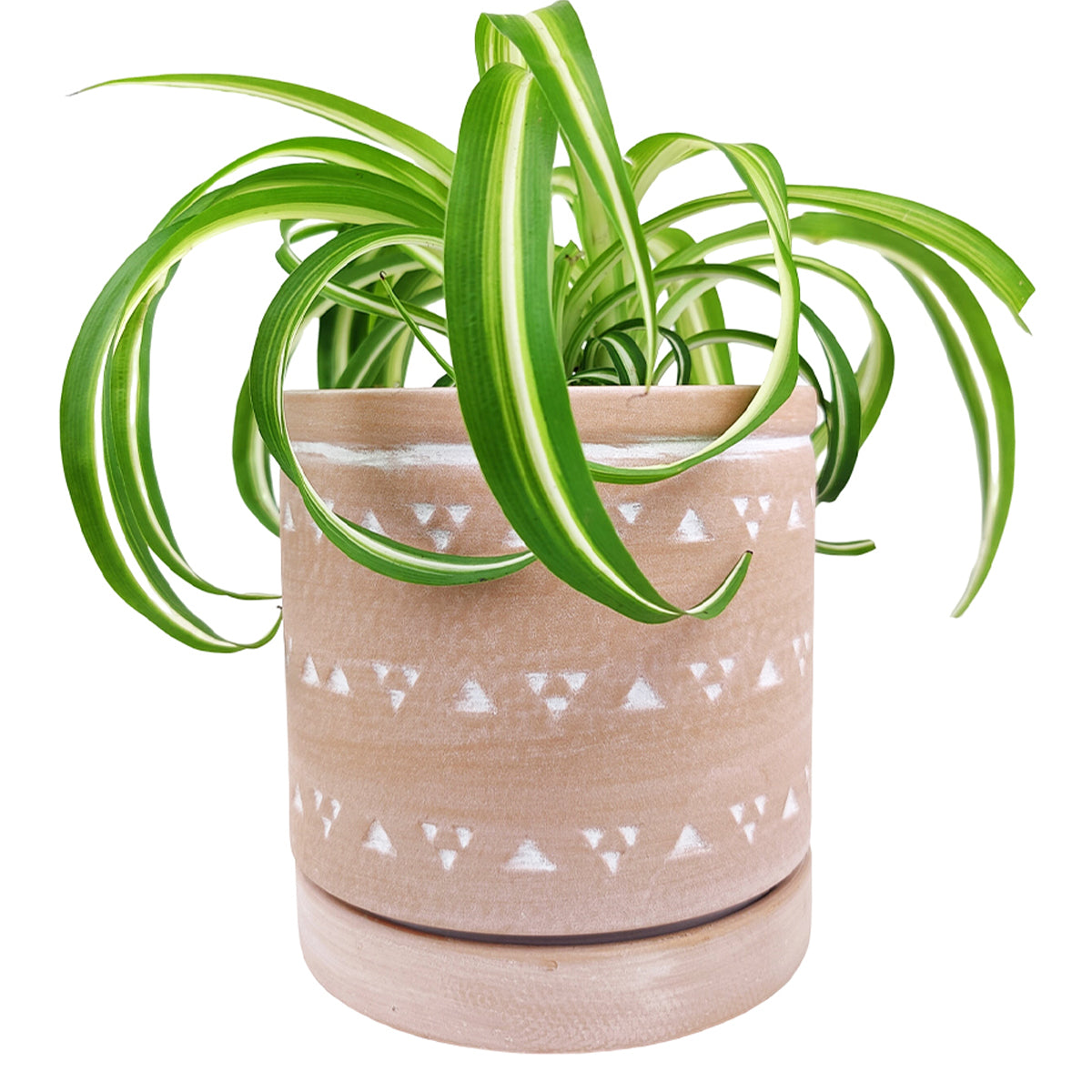 6 inch Cylinder Terracotta Clay Geometric Triangle Pattern Planter