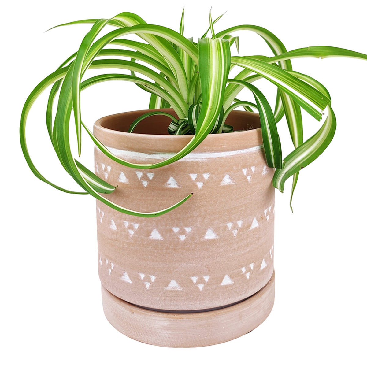 6 inch Cylinder Terracotta Clay Geometric Triangle Pattern Planter