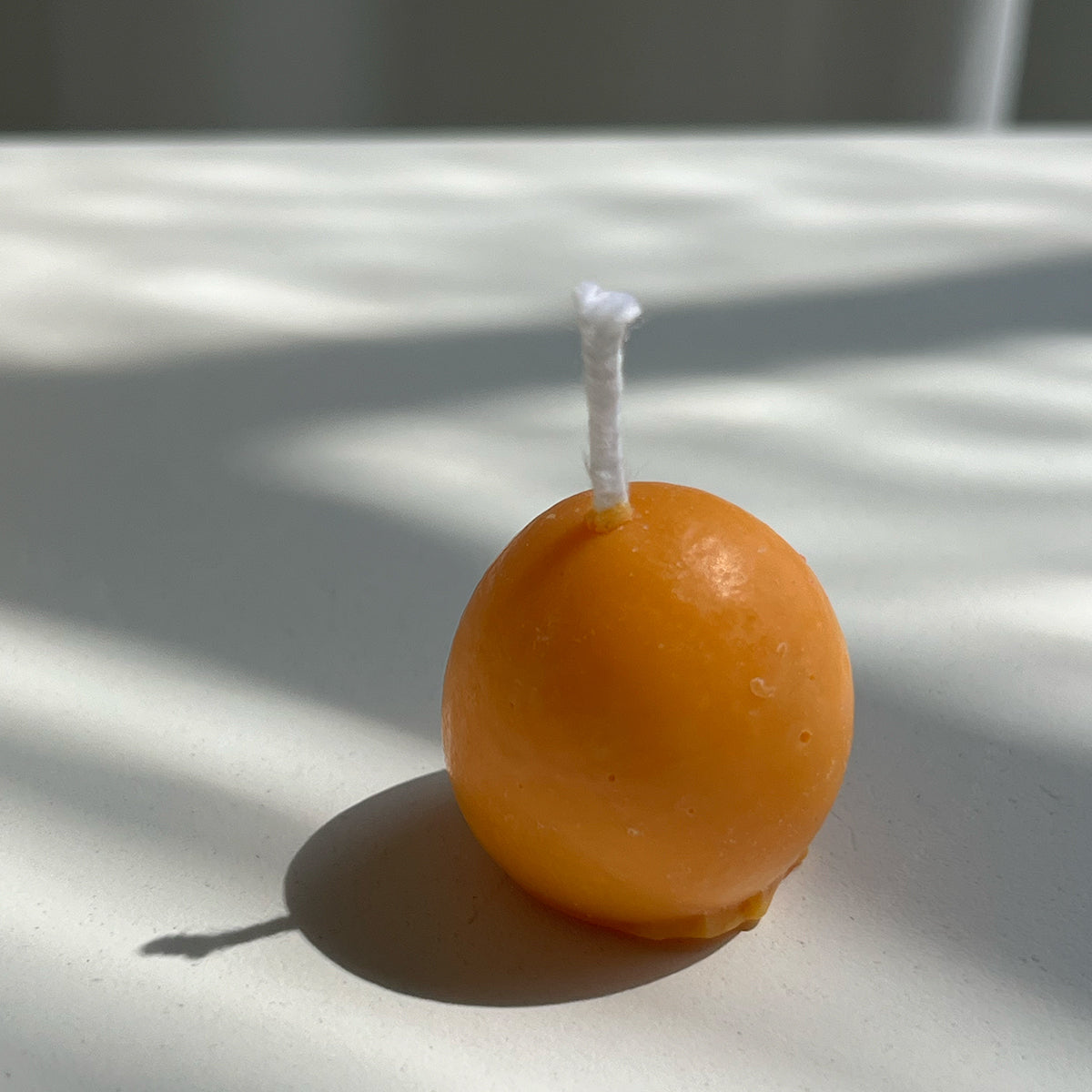 Kumquat Candles - 8 Pack - Concordia Style Boutique