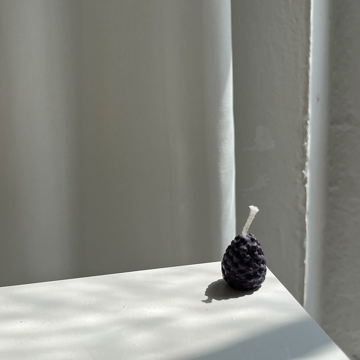 Blackberry Candles - 10 Pack - Concordia Style Boutique