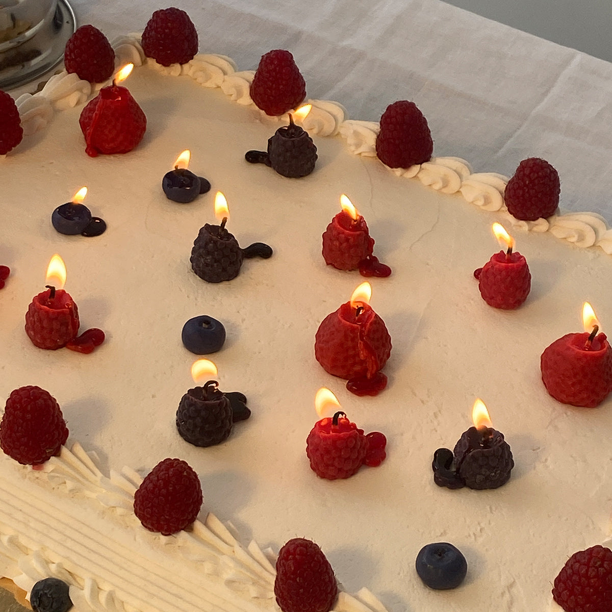 Blackberry Candles - 10 Pack - Concordia Style Boutique