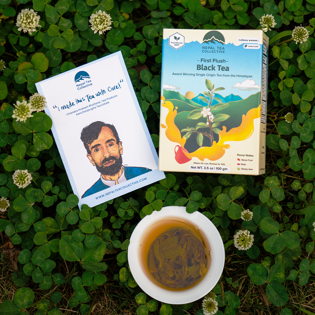 First Flush Black Tea - Concordia Style Boutique