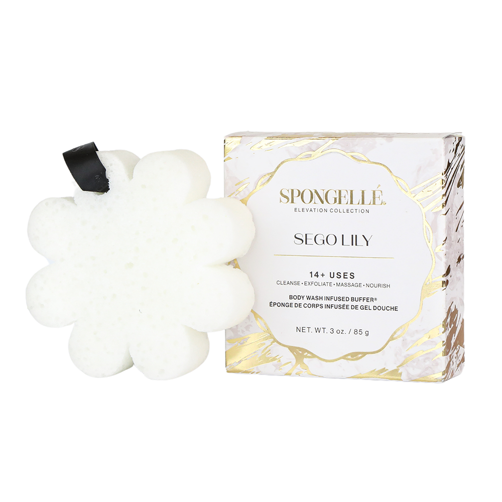 Sego Lily | Elevation Boxed Flower - Concordia Style Boutique